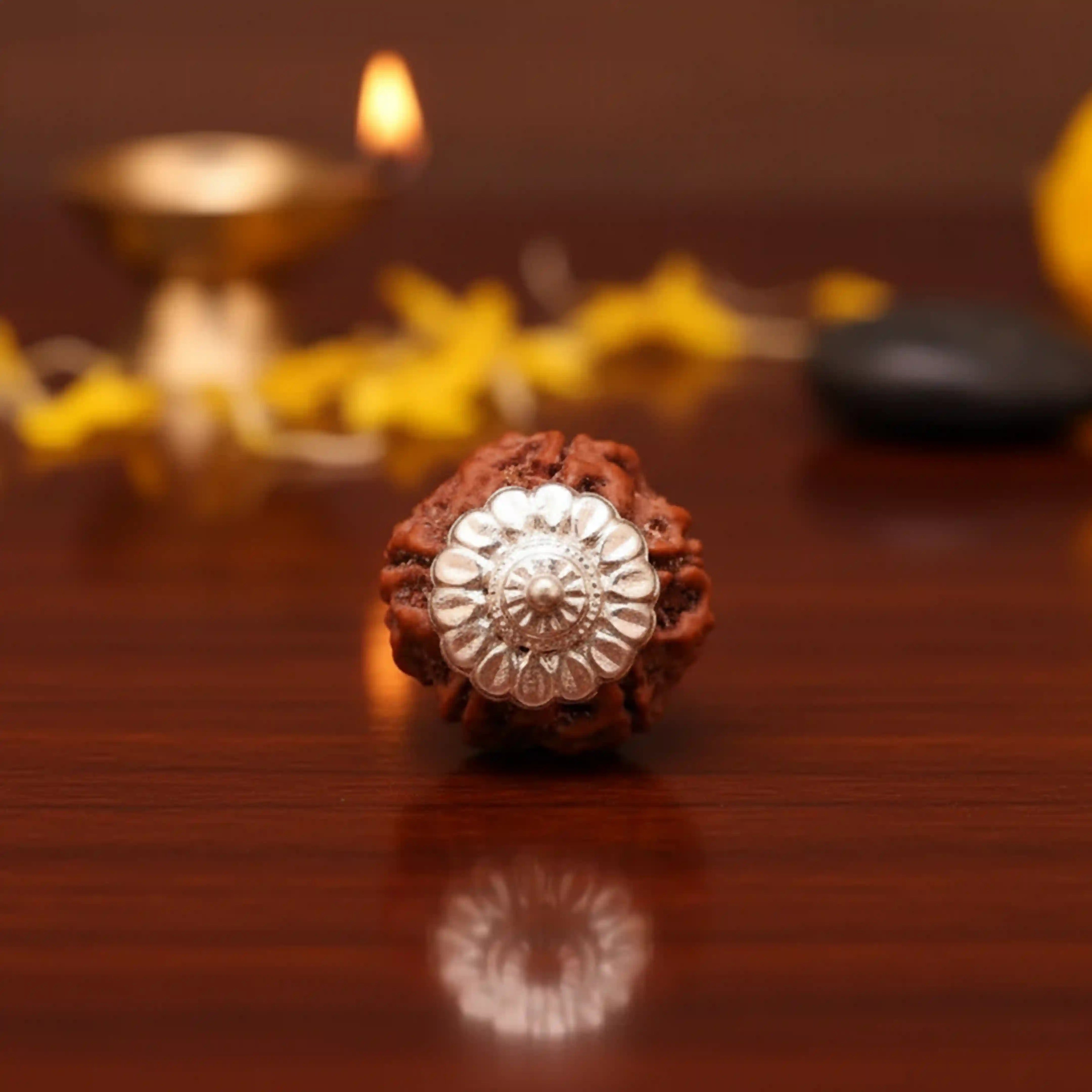 5 Mukhi Rudraksha Nepali