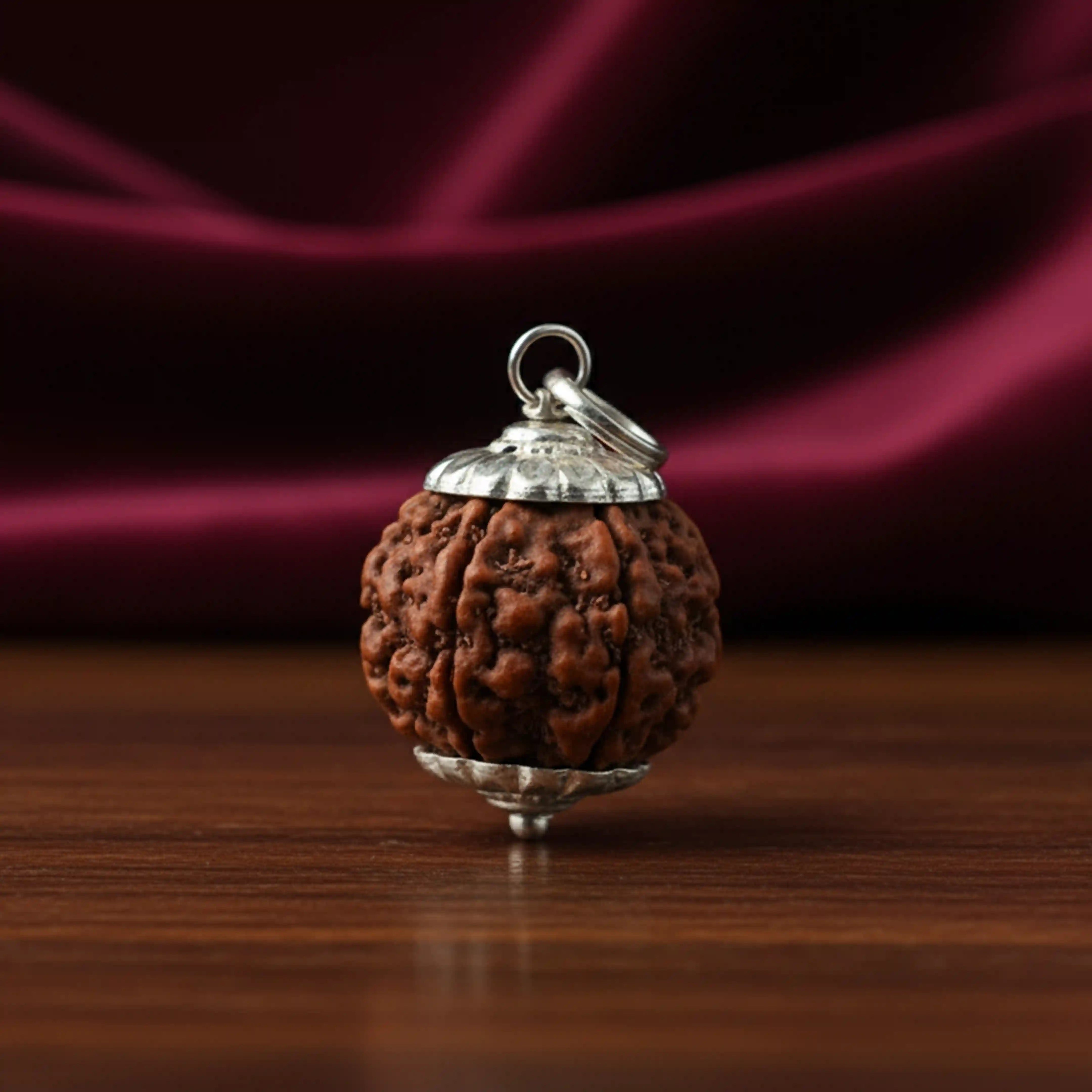 5 Mukhi Rudraksha Nepali
