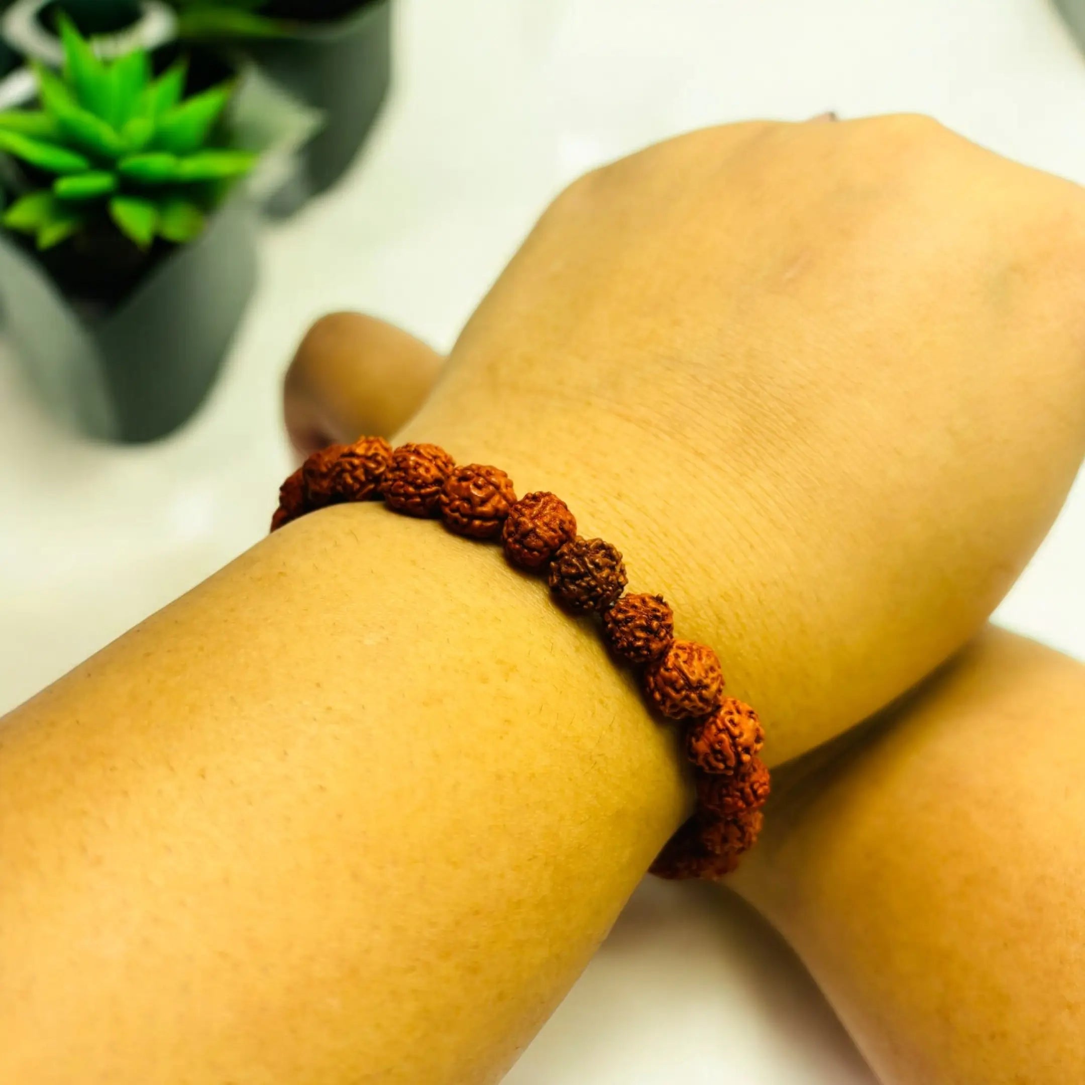 5 Mukhi Rudraksha Bracelet