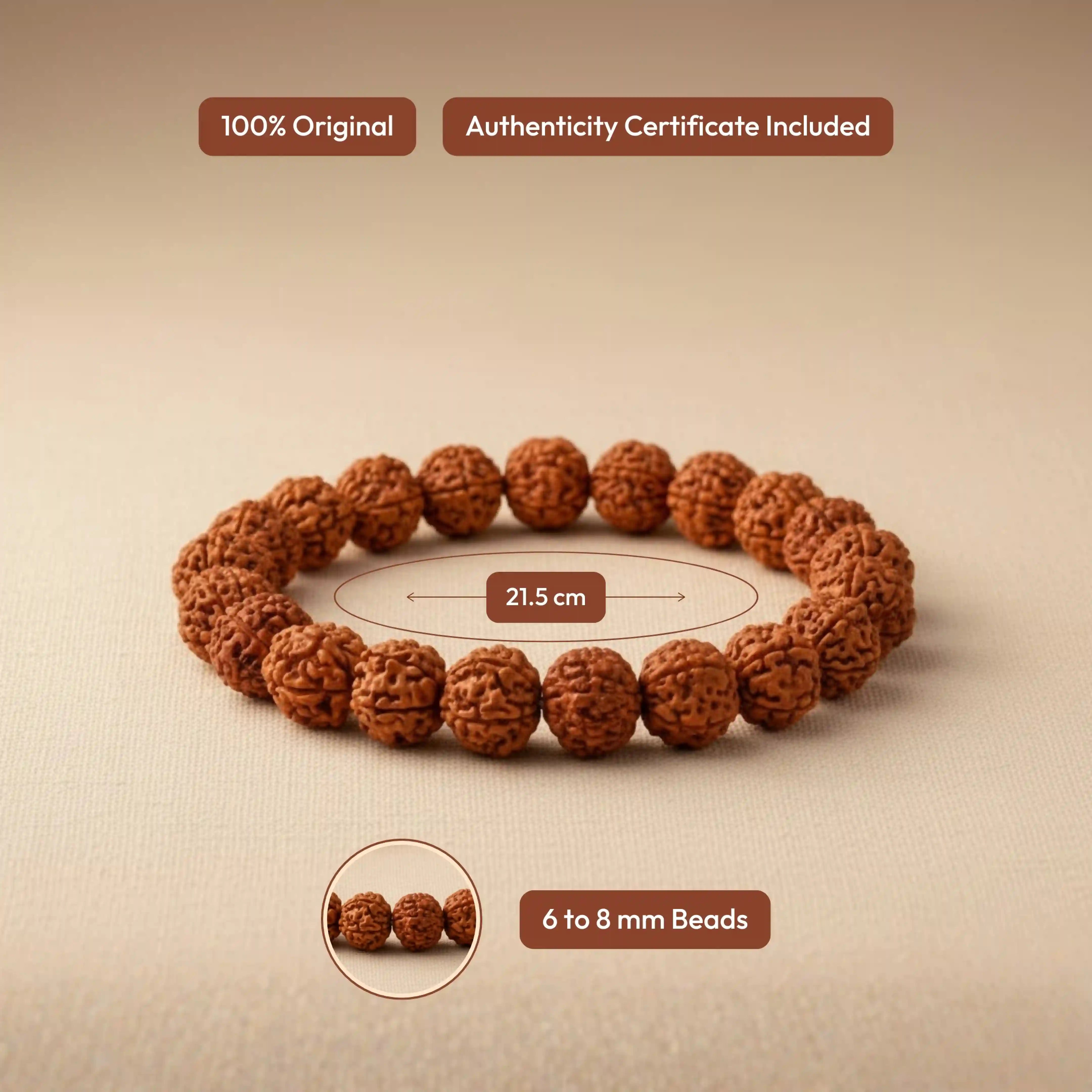 5 Mukhi Rudraksha Bracelet