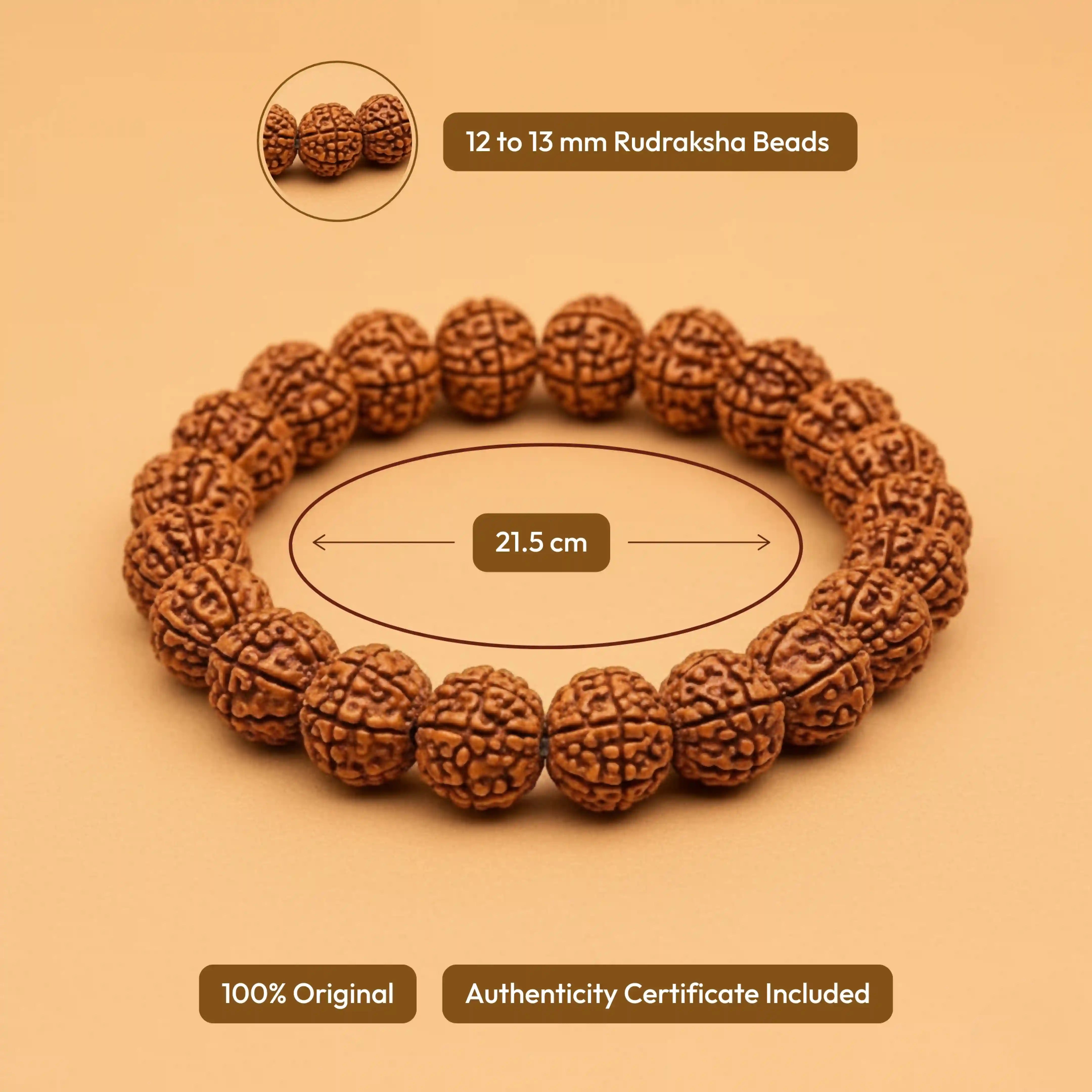 7 Mukhi Rudraksha Bracelet