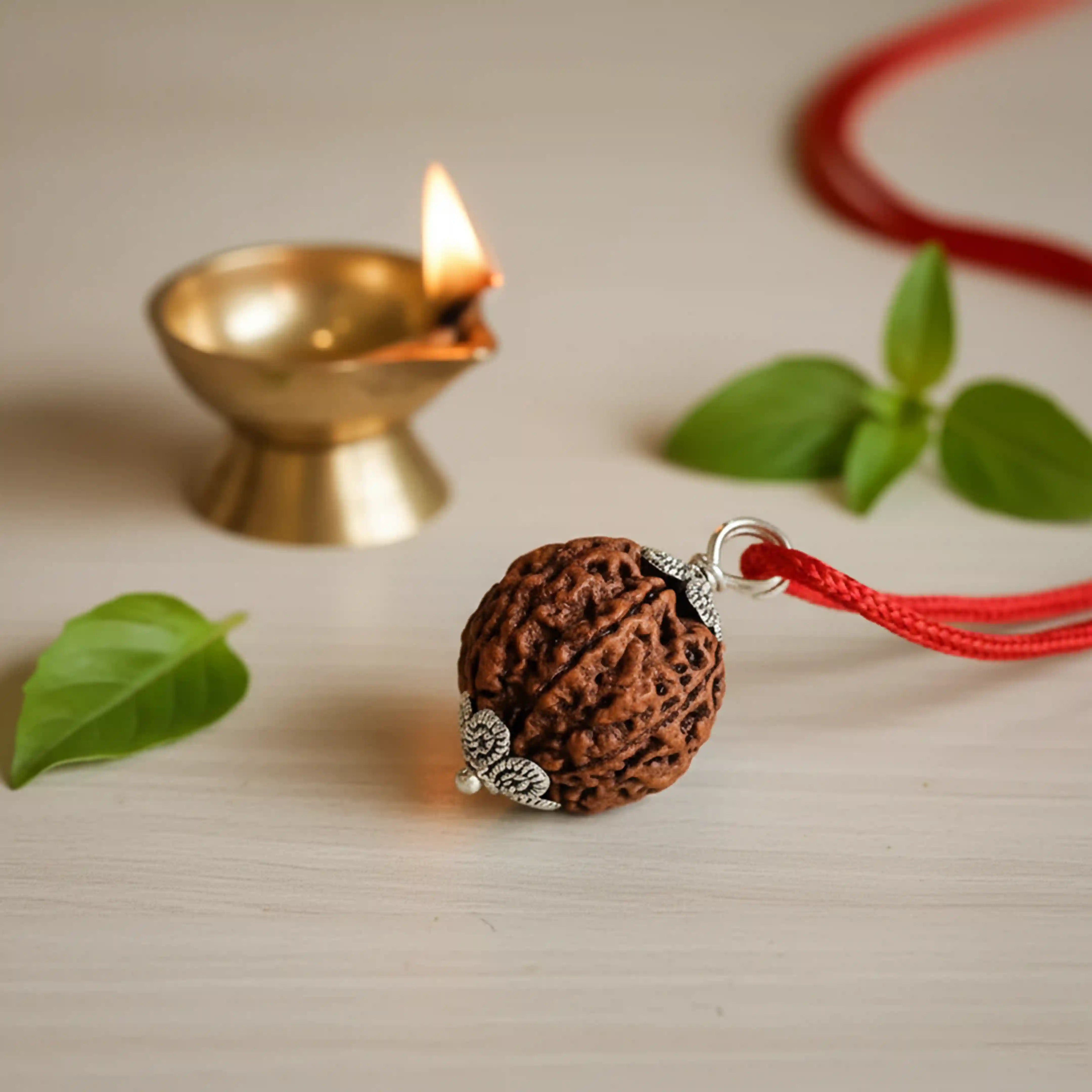7 Mukhi Rudraksha Nepali