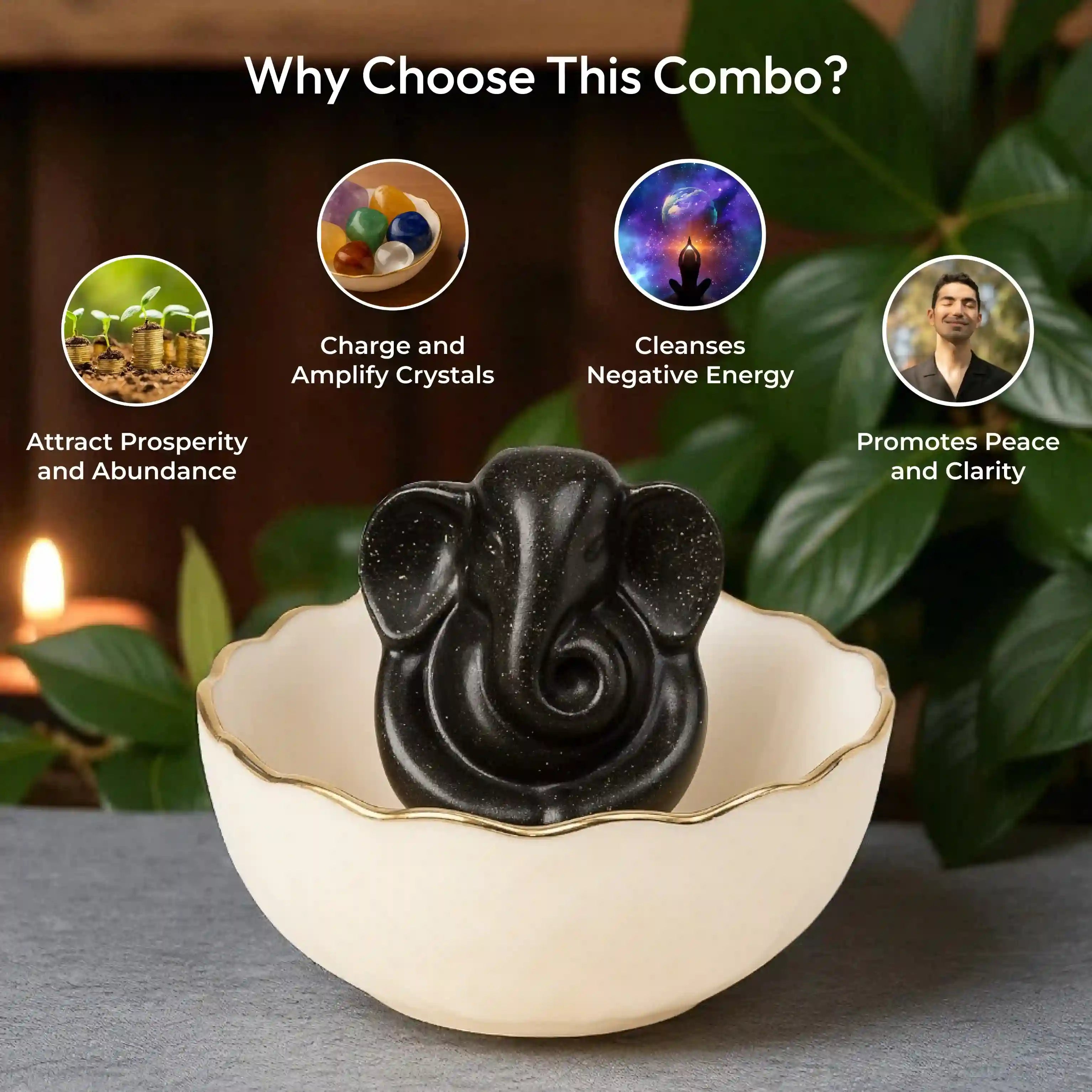 Money Bowl With Pyrite Ganesh Murti