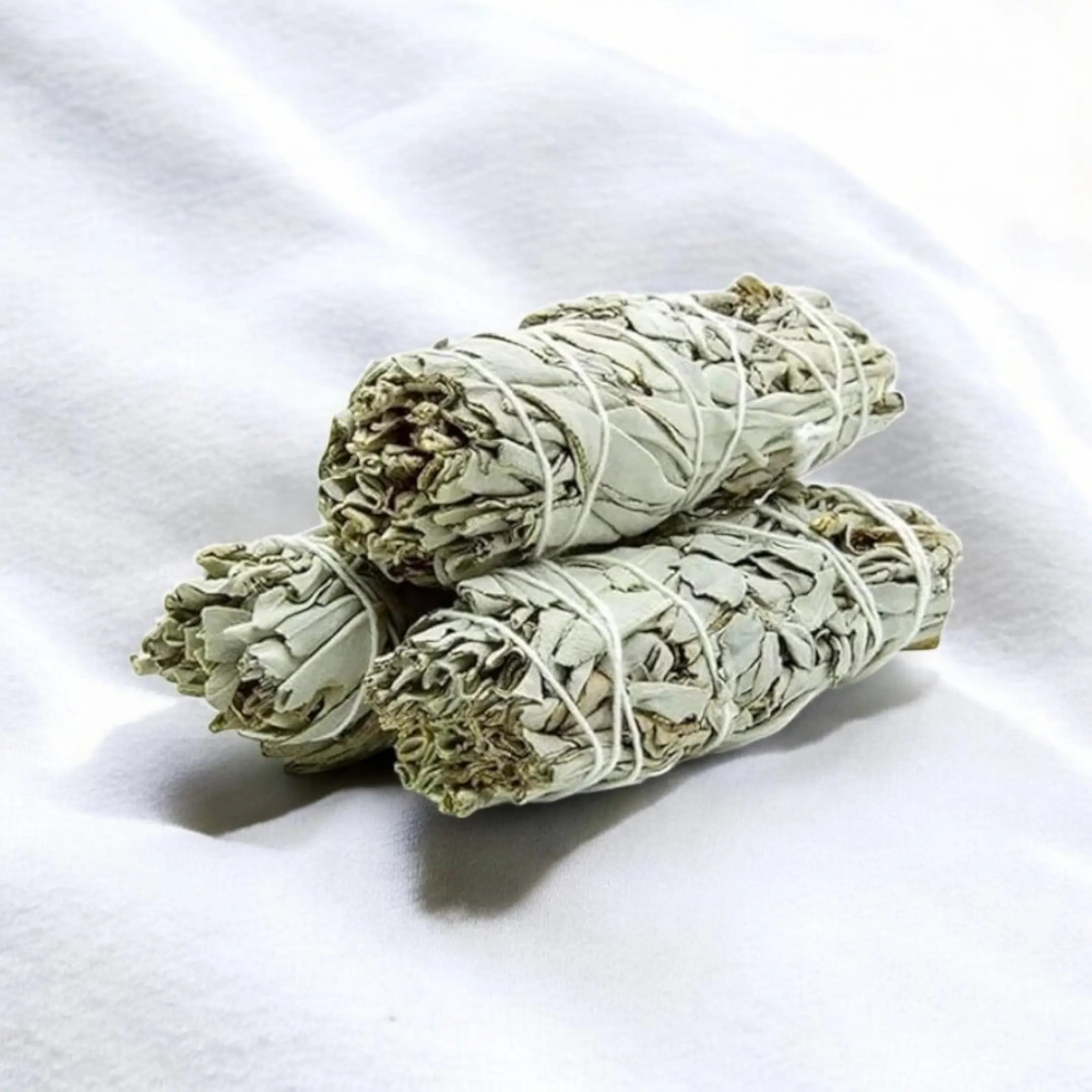 Indian Sage (Pack of 3)