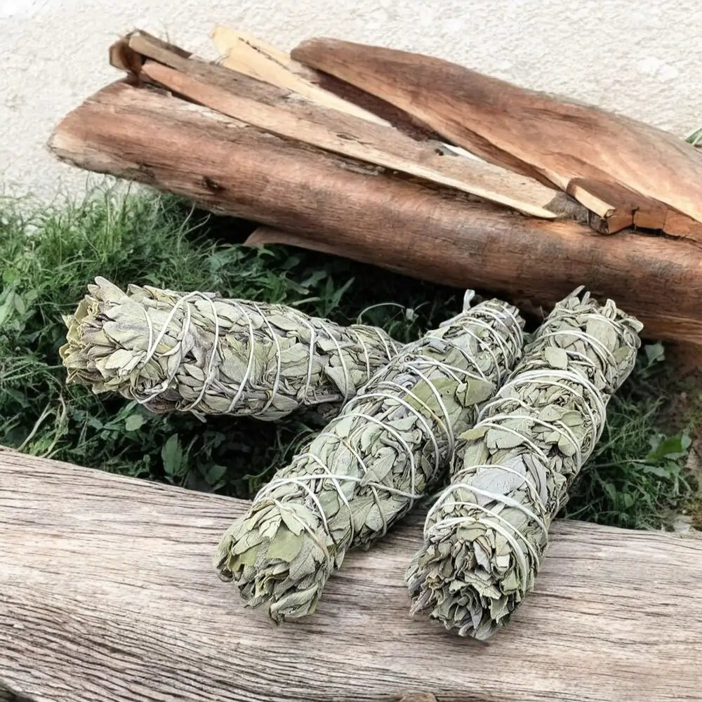 Indian Sage (Pack of 3)